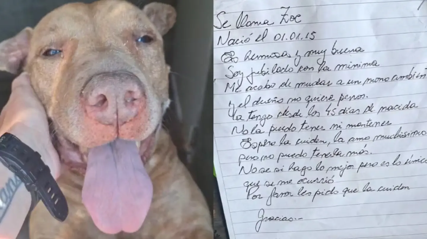 perra junto a la foto de una carta