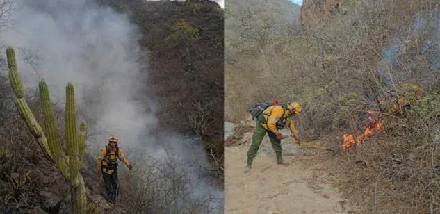 siete incendios forestales