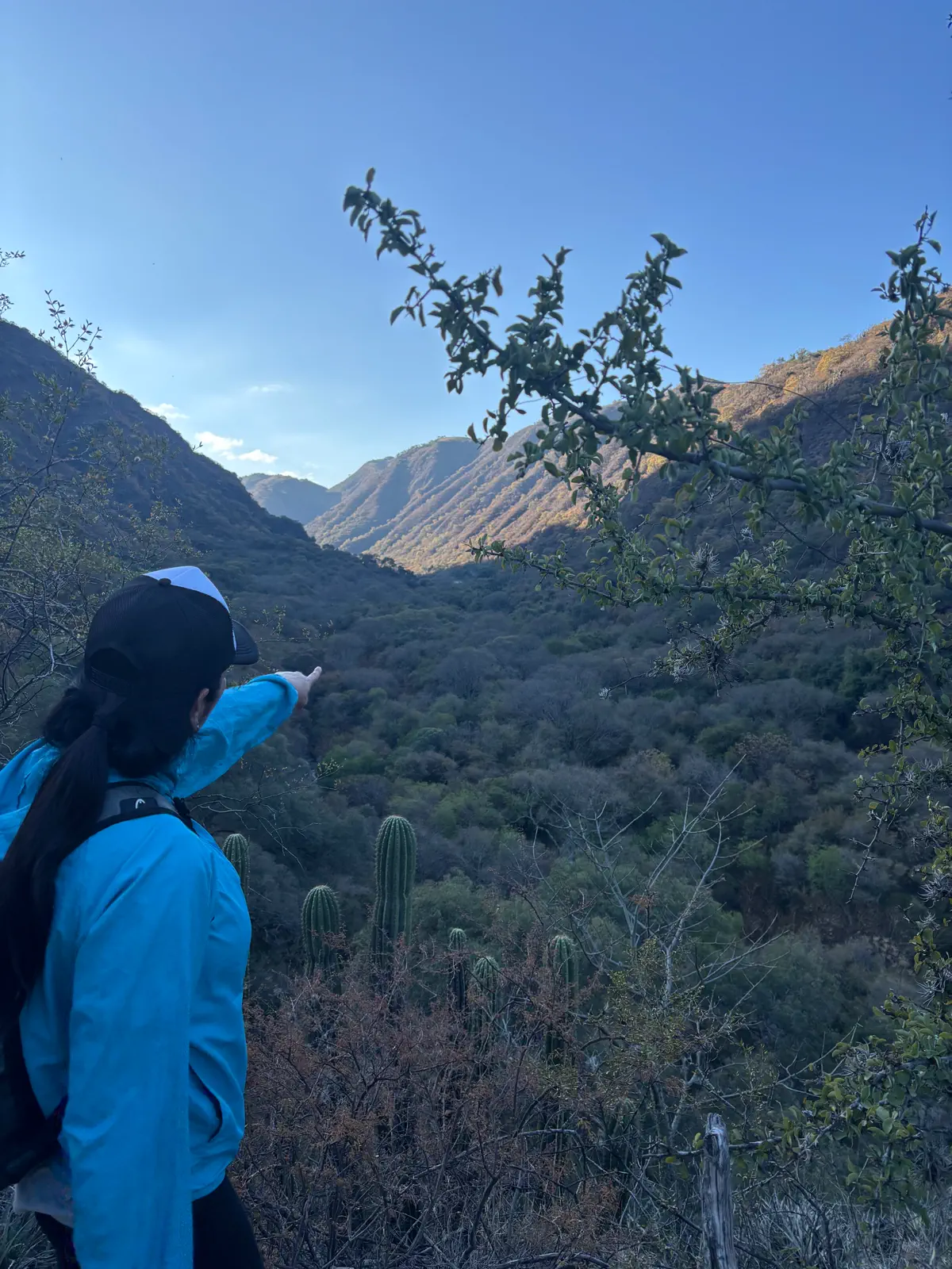 Trekking por la Quebrada: una caminata entre cerros y arroyos