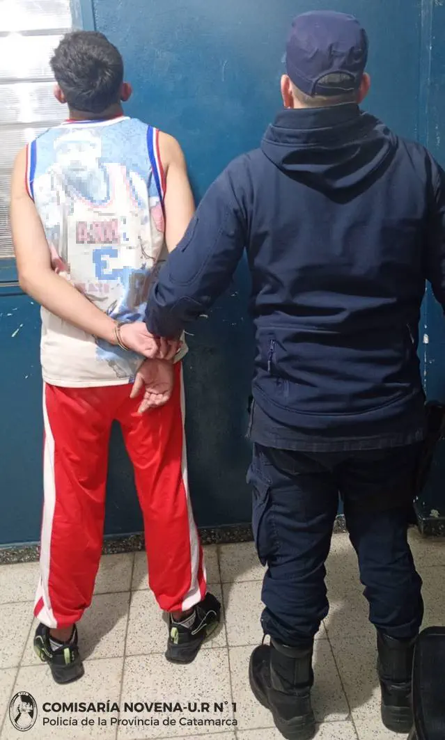 Una mujer pidió auxilio tras ser atacada a golpes por su hijo